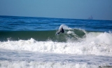 SILVER STRAND STATE BEACH