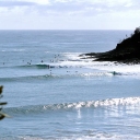 noosa2.jpg