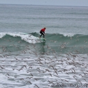 IMG_4285 copy