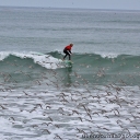 IMG_4285 copy